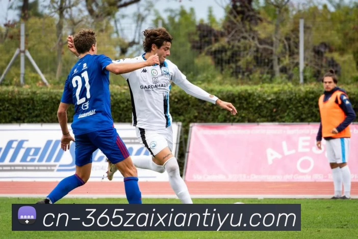 App Interface Preview